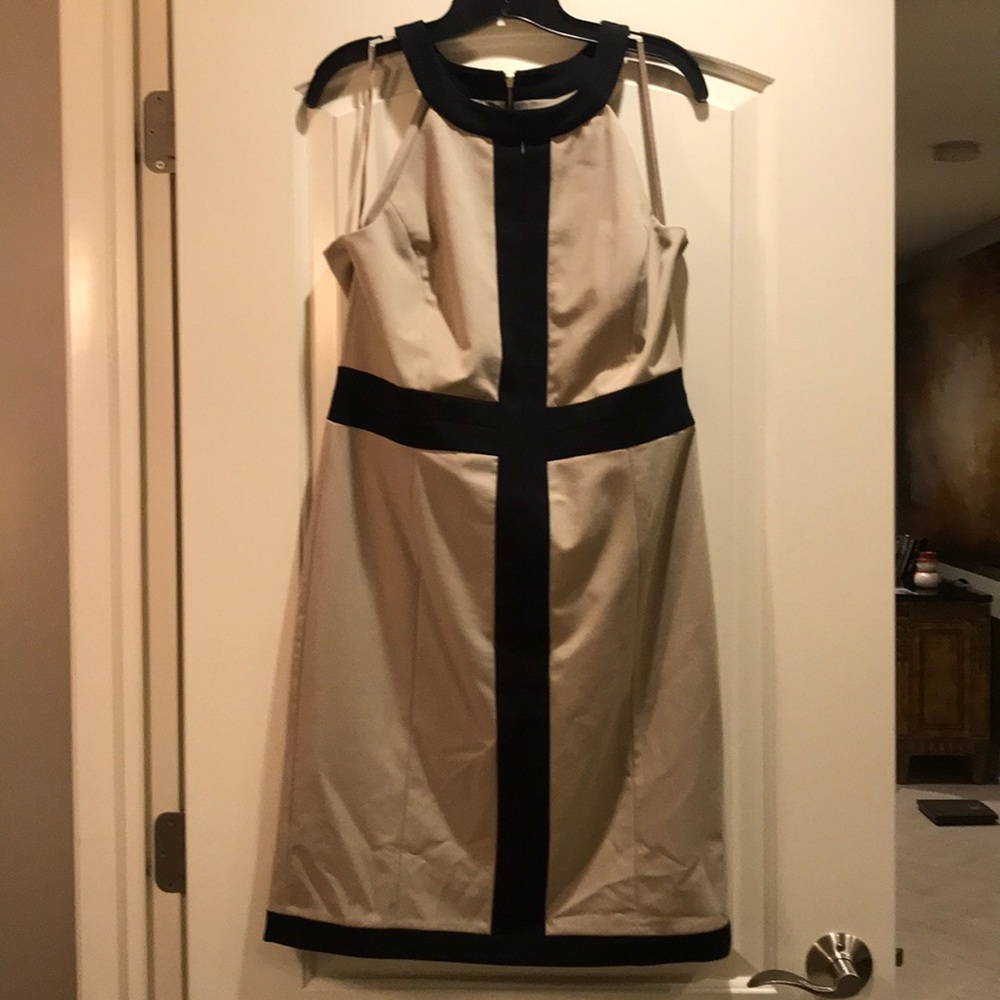 NWOT Ann Taylor Dress